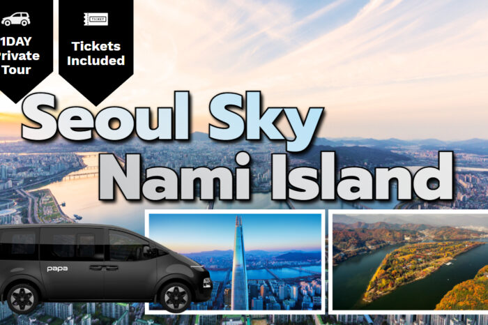 [SAVE THE TIME] Seoul Sky & Nami Island Private Car Chatered Day Tour from Seoul